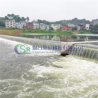 Itin mažos eksploatacijos sąnaudos Hidroenergija Spillway Gates