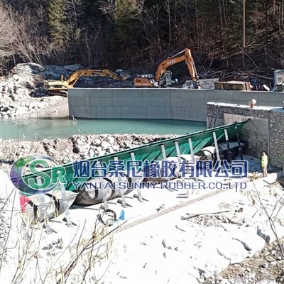 Pneumatiniai išsiliejimo vartai su patentu